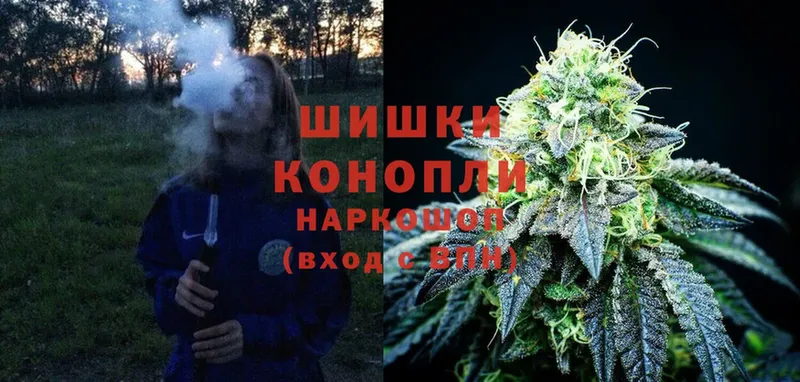 это какой сайт  Александровск  Бошки марихуана SATIVA & INDICA 